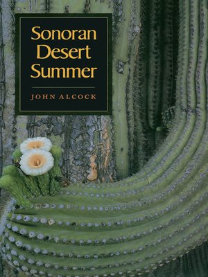 cover image of Sonoran Desert Summer